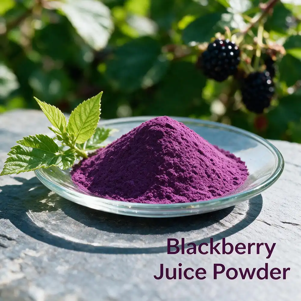 Best Blackberry Juice Powder for Beverage and Supplement Brands